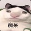 宝可梦大师