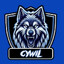 SKINS CYWIL