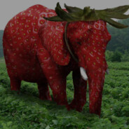 StawberryElephant