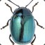 DeltaBeetle