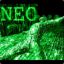 Neo