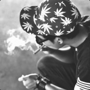 dr_panda
