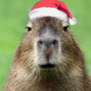 Capybara