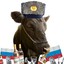 russiancow