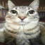 Tho's avatar