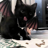 魏爱做玲才会莹