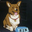 Ein