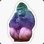 Rainbow HARAMBE