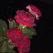 再也不会在一起了