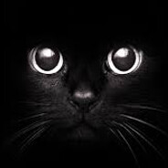 van13