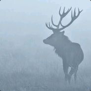 CN五年三亚一季