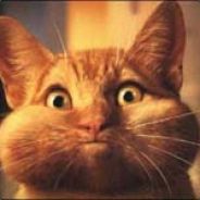 *Witch-DocTer*-alias-*WolfM@n*