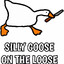 Silly goose