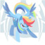 Rainbowdash