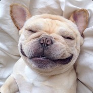 再追我就射瞎你的dog眼