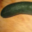 Pepino anal