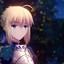 机智少女Saber lily