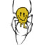 Spiders