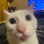 Suki