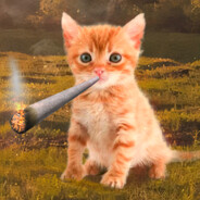 13lackWh1te avatar
