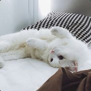 -kisa