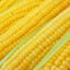 [ILF] BigCorn