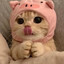 cuties meow meow