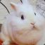 ✪ Chubby Bunny