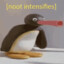 NOOT NOOT