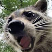 Racor