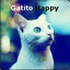 Gatito Happy
