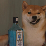 杭城第一背带裤