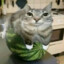 Gato Sandia