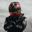 F1 Hamilton