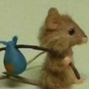 骂我等于暗恋我