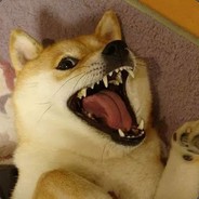 花巷幼儿园第一机枪手