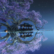 我是主播别打我