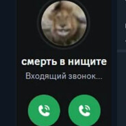 налсур насрал