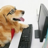Lucky, the pro-gamer dog