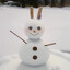 snowmale