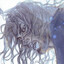 Talion