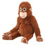 the monkey