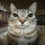 猫に小判