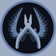 电脑玩家维利塔