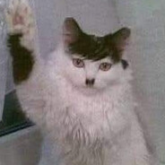 Meawdolf Kitler skins.army