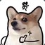 Acc阿西吧