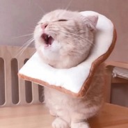 用小明哥打突破