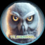 TVSNOWOWL