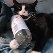 𝓜α𝒿0𝓇_𝓡S