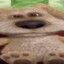 Gssr1